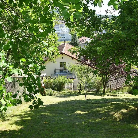 Les Rosiers Du Blosen Thann