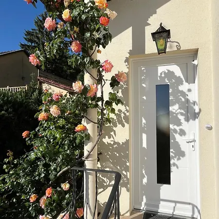 Les Rosiers Du Blosen