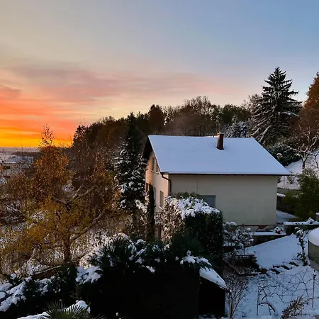 Les Rosiers Du Blosen *