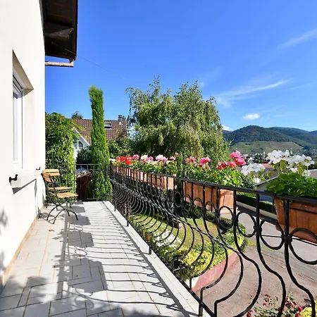 Les Rosiers Du Blosen *