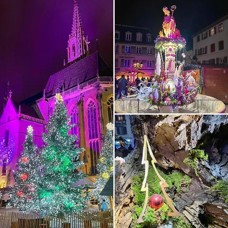 Les Rosiers Du Blosen * Thann